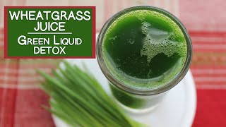 Wheatgrass Juice The Fresh Green Liquid Detox Aid [upl. by Theone]