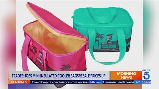 Trader Joe’s 399 minicooler bag hits resell websites [upl. by Rosenfeld772]