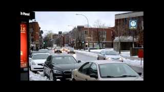 VARIOUS SCHOOL BUSES ACTION  MONTREAL [upl. by Socher607]