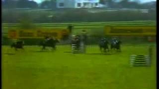 Bentom Boy The 1984 Irish Grand National Fairyhouse [upl. by Swainson695]