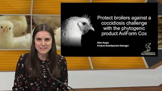 Webinar Poultry World Protect broilers against a coccidiosis challenge with AviForm Cox [upl. by Anrapa349]