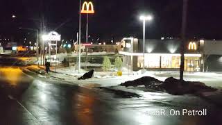 Saturday Night LIVE Cowlamity Stream Scanner Chasing in Cheyenne Wyoming 12024 [upl. by Arytas263]