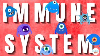 Immune System Innate and Adaptive Immunity Explained [upl. by Estas]