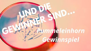 Pummeleinhorn GEWINNSPIEL Wer hat gewonnen [upl. by Daryl190]