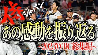 【優勝】2023年WBCを振り返る [upl. by Ydarb]