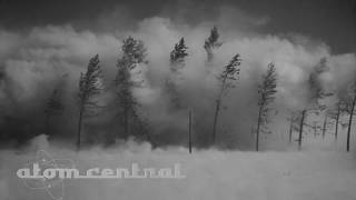 Nuclear Weapon Effects on Trees [upl. by Anayi]