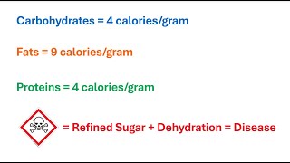 Food Groups  WARNING Biophysics [upl. by Der]