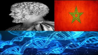 DNA autosomal test result North Africa – Morocco  Myheritage myfamilytree DNA [upl. by Idnis942]