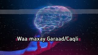 Waa maxay Garaad ama Caqli Like subscribe and share subscribe share like [upl. by Yenrab785]