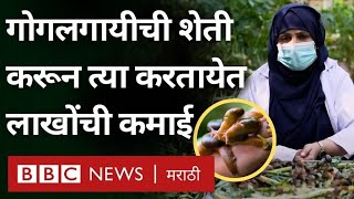 Snail Farming करून Beauty Products चा व्यवसाय सुरू करणाऱ्या महिलेची गोष्ट  BBC News Marathi [upl. by Orimisac]