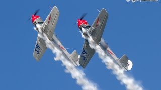 Team Aerostars  Yak52 Formation Aerobatics  Wings Over Waukegan 2014 [upl. by Winograd]