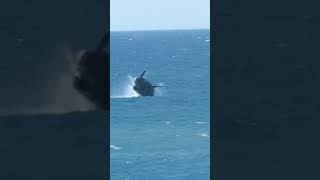 Salto de ballena en la costa de Necochea [upl. by Nodaj]