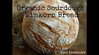 Organic Sourdough Einkorn Bread [upl. by Oel]