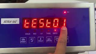 SCALETEC DIGITAL INDICATOR  Procedure to Test Digital Load Cell Count [upl. by Fairweather]