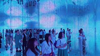 Tokyo Japan  teamLab Borderless  360° Light Show 2024 [upl. by Hyacinthia]