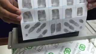 How to Roll Ink Fingerprints [upl. by Ivanah908]