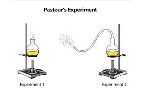 Pasteurs Experiment [upl. by Brownson]