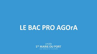 Le Bac pro AGOrA [upl. by Anilam]