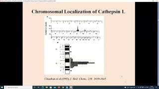 CDE Series 8Association of cathepsin L promoter hypermethylation with blast crisis resistance [upl. by Oiceladni]