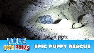 Epic puppy rescue  18 feet into the earth Dangerous Hope For Paws rescue puppy [upl. by Drud]