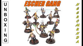 Unboxing  Necromunda Escher Gang [upl. by Halivah430]