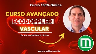 Curso Avançado de Ultrassom USG  Doppler Vascular [upl. by Selim]