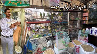 Birds and summer season update  Bird market and Pets Jhang bazar Faisalabad [upl. by Samuele]