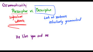 Introduction to Linguistics Word Order Grammar and Phrase Structure Rules [upl. by Andrei]