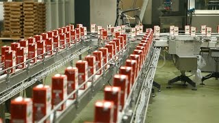 Production Line Packing Food Stock Footage [upl. by Cormack169]