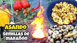 😋SEMILLAS DE MARAÑONasí las asamos en El Salvador Usulután viralvideo [upl. by Yarased]