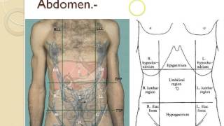 SEMIOLOGIA DEL ABDOMEN INSPECCION [upl. by Essej]