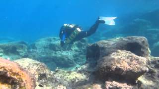 Try Dives on the Megalodon Rebreather from Scuba Tech Cyprus [upl. by Relyks442]