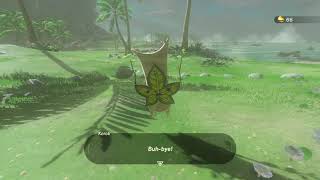 Korok seeds  Korne Beach  Faron Tower 29  Zelda BOTW [upl. by Hereld278]