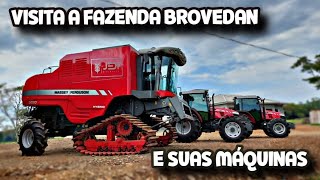 Os brovedan Trabalha Com Cultivo Do Arroz Irrigado Morro GrandeSC [upl. by Hekking]