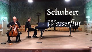 Franz Schubert quotWinterreisequot Wasserflut [upl. by Nemzaj]