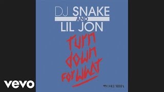 DJ Snake Lil Jon  Turn Down for What Audio [upl. by Iturhs935]