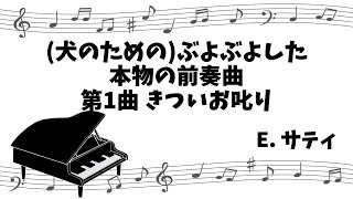 【クラシックピアノ】犬のためのぶよぶよした本物の前奏曲 第1曲 Véritables préludes flasques quotpour un chienquot Nr1 [upl. by Cathrin]