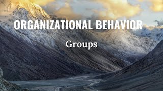 Organizational Behavior  Groups [upl. by Lahsiv882]