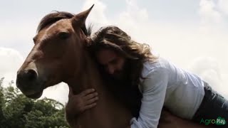 Diferencia entre Doma de Caballos Tradicional Vs Doma Americana TvAgro por Juan Gonzalo Angel [upl. by Hallvard]