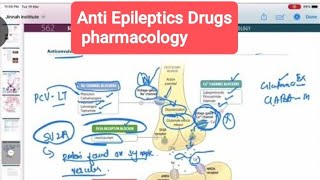 Antiepileptic drug pharmacology part 1 neurology 155  First Aid USMLE Step 1 in UrduHindi [upl. by Dougherty628]