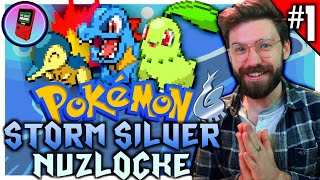 Starting our POKEMON STORM SILVER Nuzlocke Challenge [upl. by Roldan39]