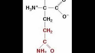 The Amino Acid Song original song [upl. by Lorin974]