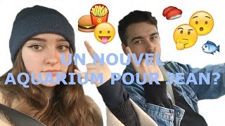 VLOG  un aprèsmidi à la jardinerie [upl. by Dunkin477]