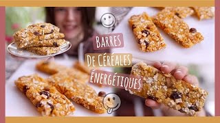 JE TESTE LES BARRES DE CÉRÉALES ÉNERGÉTIQUES MAISON FitClaire DIY  Claire [upl. by Gladstone]