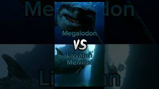 Megalodon vs Livyatan Melvillei [upl. by Aynas]