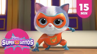 Te presentamos a Buddy  Supergatitos  Compilado [upl. by Musa28]