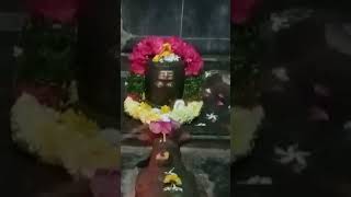 Kalpagoor Kashi vishveshwara Swamy temple in sangareddy famous temple mini vlogs [upl. by Codi]