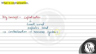 What is cephalization [upl. by Notnilk]