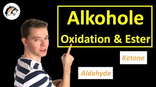 Reaktionen der Alkohole Oxidation amp Esterbildung  Chemie Tutorial [upl. by Atinid]