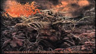 FULL ALBUM Postcoital Ulceration  Continuation of Defective Existence After Multiple [upl. by Oirasan601]